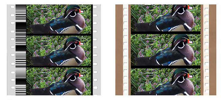 films 70 mm : à gauche, Grandeur (Fox) avec piste son optique à densité variable; à droite, Todd Ao à pistes son magnétiques - (Crédit : Magica, CC BY-SA 4.0 <https://creativecommons.org/licenses/by-sa/4.0>, via Wikimedia Commons)