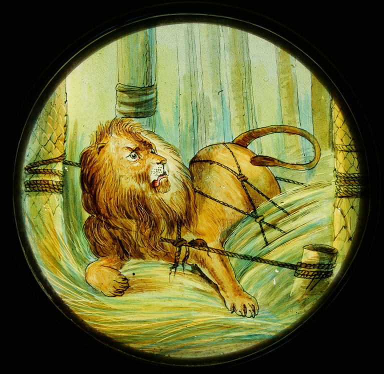 Robinson - Fable Le Lion et le Rat