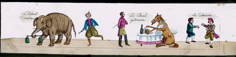 Scènes comiques - L'Eléphant domestique / Le Cheval gastronome / LA Catharina