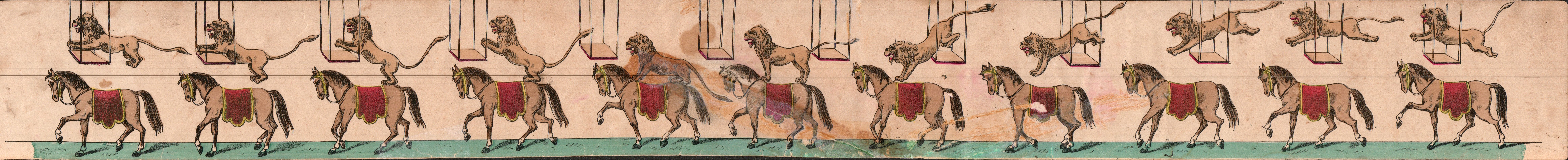 Cheval et lion